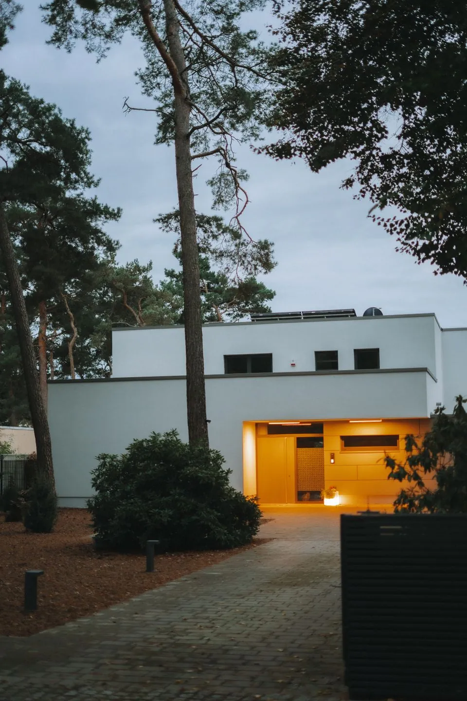 A modern house at dusk with a warmly lit entrance among pine trees